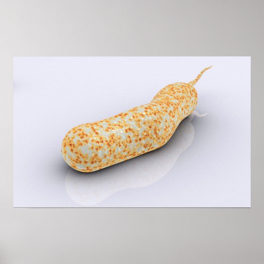 Conceptueel Afbeelding van Vibrio Cholerae 3 Poster (Voorkant)