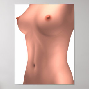 Conceptueel Afbeelding van Vrouw-romp Poster
