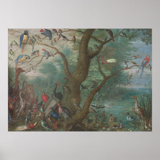 Concert van Vogels - Jan van Kessel Fijne Kunst Po Poster (Voorkant)