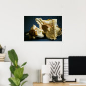 Conch 3335 Poster (Thuiskantoor)