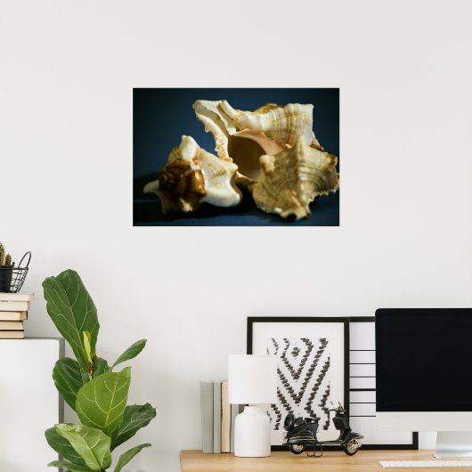 Conch 3335 Poster (Thuiskantoor)