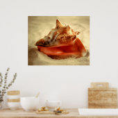 Conch Poster (Keuken)