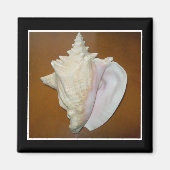 Conch Schelp Magneet (Voorkant)