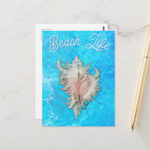 Conch Schelp "Strandleven" Briefkaart
