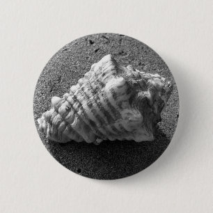 Conch Seashell Sand Beach Button Pendant