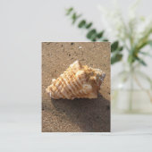 Conch Seashell Zand Beach Briefkaarten (Staand voorkant)