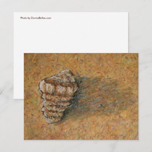 Conch Seashell Zand Beach Briefkaarten (Voorkant / Achterkant)