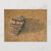 Conch Seashell Zand Beach Briefkaarten (Voorkant)
