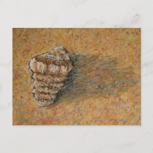 Conch Seashell Zand Beach Briefkaarten (Voorkant)