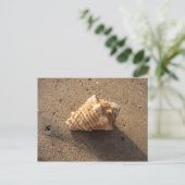 Conch Seashell Zand Beach Briefkaarten (Staand voorkant)