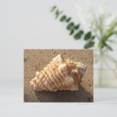 Conch Seashell Zand Beach Briefkaarten (Staand voorkant)