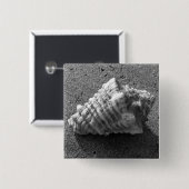 Conch Seashell Zand Beach Button Pin (Voorkant /achterkant)