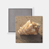 Conch Seashell Zand Beach Magnet (Voorkant / Achterkant)