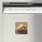 Conch Seashell Zand Beach Magnet (Insitu (Vaatwasser))