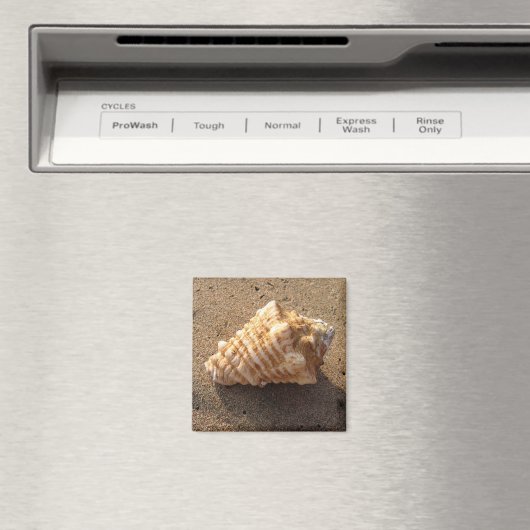 Conch Seashell Zand Beach Magnet (Insitu (Vaatwasser))