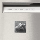 Conch Seashell Zand Beach Magnet (Insitu (Vaatwasser))