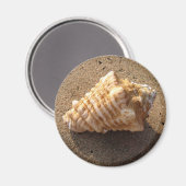 Conch Seashell Zand Beach Magnet (Voorkant / Achterkant)