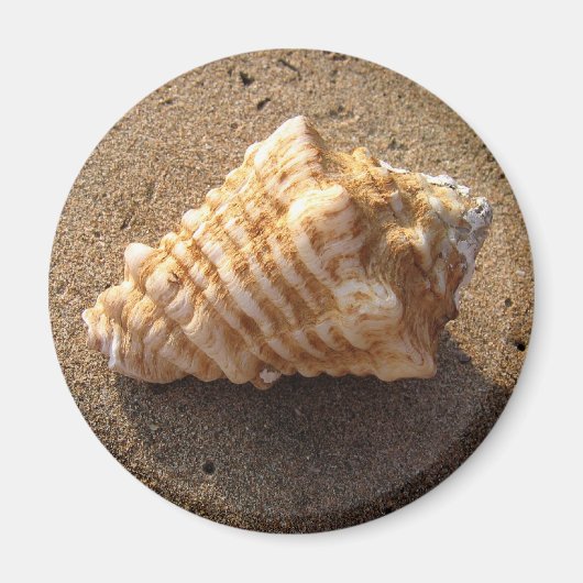 Conch Seashell Zand Beach Magnet (Voorkant)