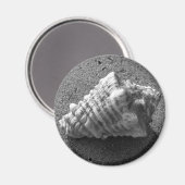 Conch Seashell Zand Beach Magnet (Voorkant / Achterkant)
