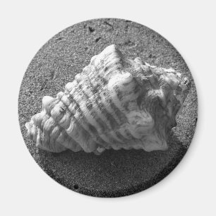 Conch Seashell Zand Beach Magnet