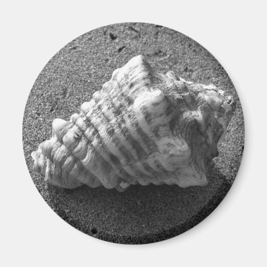 Conch Seashell Zand Beach Magnet (Voorkant)