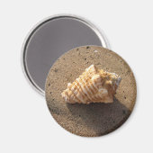 Conch Seashell Zand Beach Magnet (Voorkant / Achterkant)