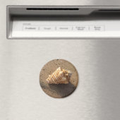 Conch Seashell Zand Beach Magnet (Insitu (Vaatwasser))