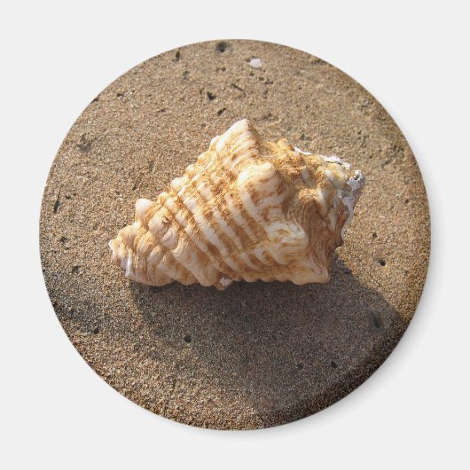 Conch Seashell Zand Beach Magnet (Voorkant)