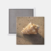 Conch Seashell Zand Beach Magnet (Voorkant / Achterkant)