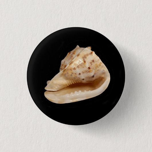 Conch Shell Badge Ronde Button 3,2 Cm (Voorkant)
