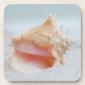 Conch Shell Bier Onderzetter (Voorkant)