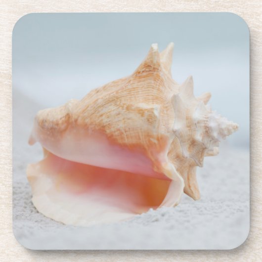Conch Shell Bier Onderzetter (Voorkant)