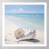 Conch shell bij het strand poster (Voorkant)