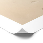 Conch shell bij het strand poster (Hoek)