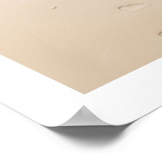 Conch shell bij het strand poster (Hoek)