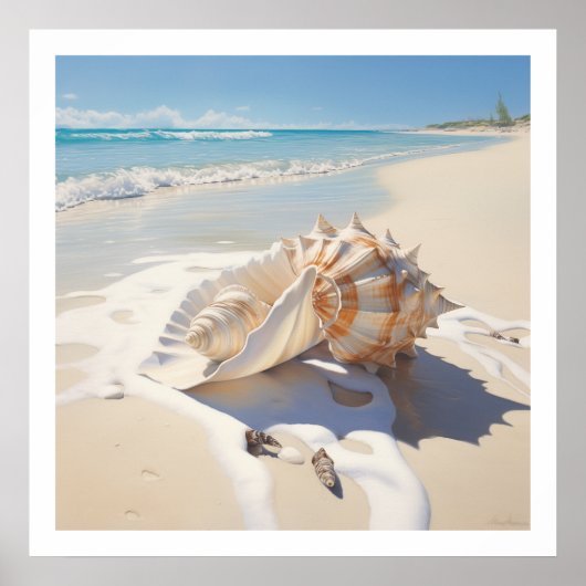 Conch shell bij het strand poster (Voorkant)