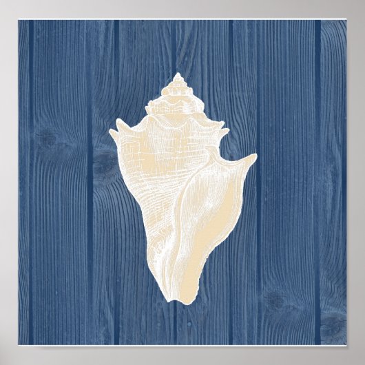Conch Shell  Blue Wood Beach Poster (Voorkant)