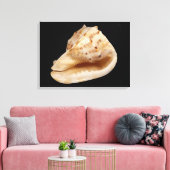 Conch Shell Canvas Print (Insitu (Woonkamer))