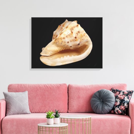 Conch Shell Canvas Print (Insitu (Woonkamer))