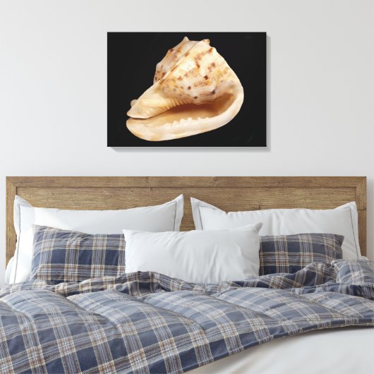Conch Shell Canvas Print (Insitu (Slaapkamer))
