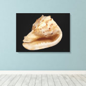 Conch Shell Canvas Print (Insitu (Houten vloer))