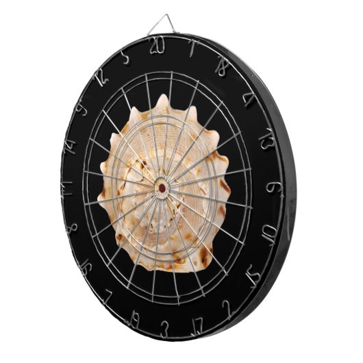 Conch Shell Dart Board Dartbord (Voorkant Rechts)
