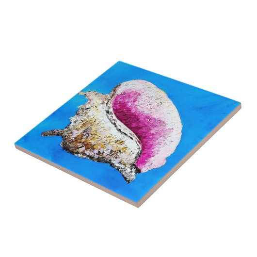 Conch Shell decoratieve Tegel Tegeltje (Zijkant)