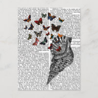 Conch Shell en Butterflies 2
