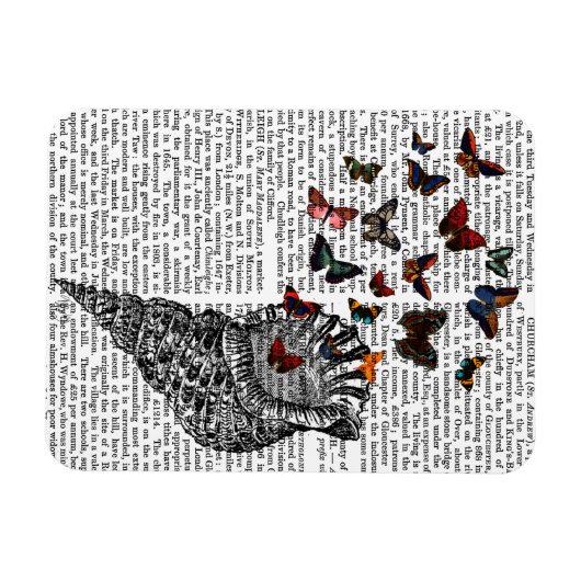 Conch Shell en Butterflies 2 Magneet (Horizontaal)