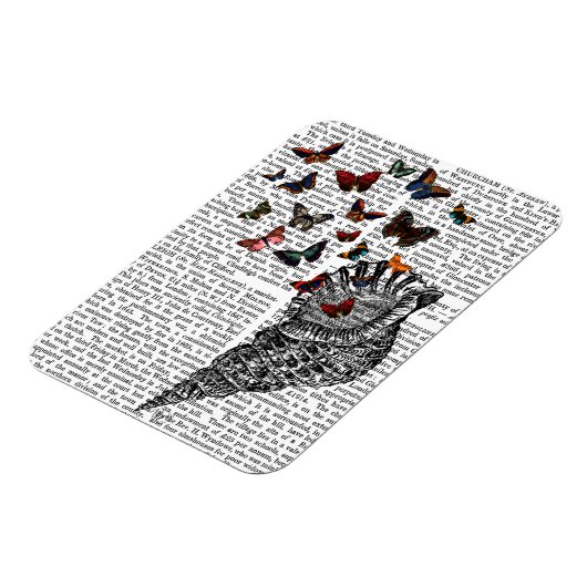 Conch Shell en Butterflies 2 Magneet (Linkerzijde)