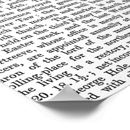 Conch Shell en Butterflies Poster (Hoek)