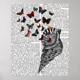Conch Shell en Butterflies Poster