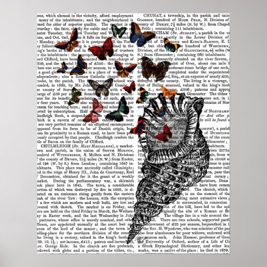 Conch Shell en Butterflies Poster (Voorkant)