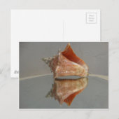 Conch Shell en zijn reflectie Briefkaart (Voorkant / Achterkant)